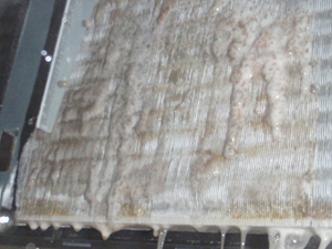 4.薬液を熱交換器などの全体に噴霧し、浸透させます